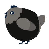 A black and grey chicken with a head pattern