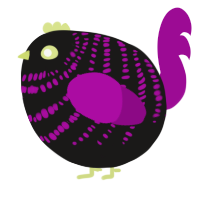 A sable and plum chicken with a bar pattern