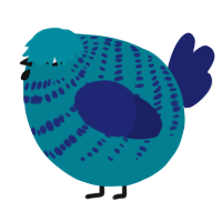 A sea and navy chicken with a bar pattern