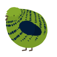 A chartreuse and tumblr chicken with a bar pattern
