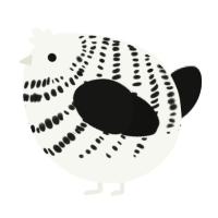 A white and black chicken with a bar pattern