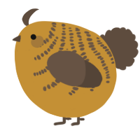 A gold and bark chicken with a half-bar pattern