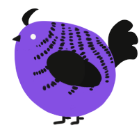 A blurple and black chicken with a half-bar pattern