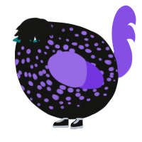 A black and blurple chicken with a speckle pattern