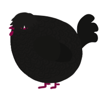 A sable and black chicken with a double-lace pattern
