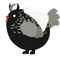 A sable and ash chicken with a half-lace pattern