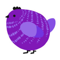A violet and blurple chicken with a bar pattern