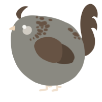 A ash and bark chicken with a neck-speckle pattern