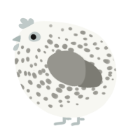A white and ash chicken with a speckle pattern