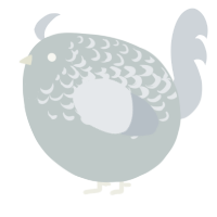 A silver and mist chicken with a half-lace pattern