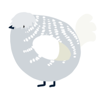 A mist and white chicken with a half-bar pattern