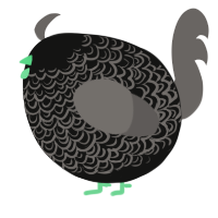 A black and grey chicken with a double-lace pattern