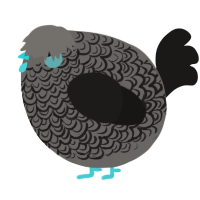 A grey and sable chicken with a double-lace pattern