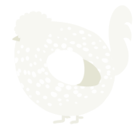 A white chicken with a speckle pattern