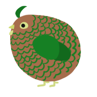 A brown and leaf chicken with a lace pattern