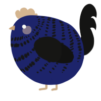 A navy and black chicken with a bar pattern