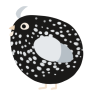 A sable and mist chicken with a speckle pattern