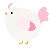 A white and rose chicken with a half-lace pattern