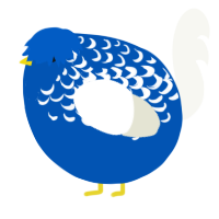A ultramarine and white chicken with a half-lace pattern