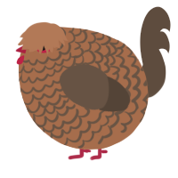 A brown and bark chicken with a lace pattern