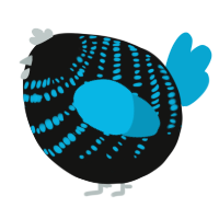 A black and cerulean chicken with a bar pattern