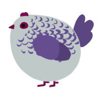 A silver and overcast chicken with a half-lace pattern