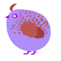 A lilac and red chicken with a half-lace pattern