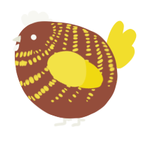 A russet and yellow chicken with a bar pattern