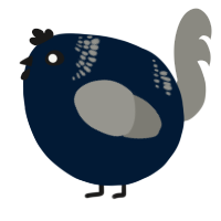 A tumblr and ash chicken with a neck-band pattern