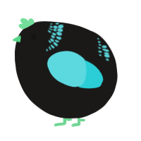 A sable and aqua chicken with a neck-band pattern