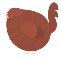 A russet chicken with a bar pattern