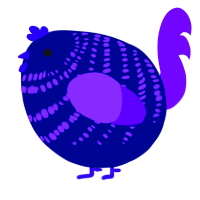 A navy and blurple chicken with a bar pattern