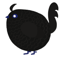 A black and sable chicken with a lace pattern
