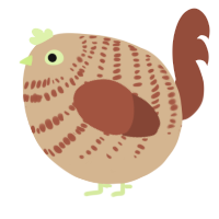A beige and russet chicken with a bar pattern