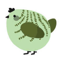 A gluppy and olive chicken with a half-bar pattern