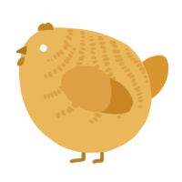 A honey and orange chicken with a half-bar pattern