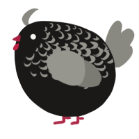 A sable and ash chicken with a half-lace pattern