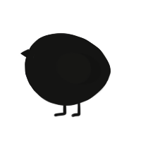A black chicken