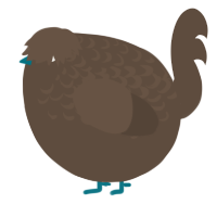 A bark chicken with a half-lace pattern