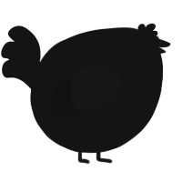 A black chicken