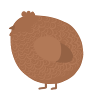 A brown chicken with a double-lace pattern