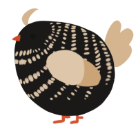 A sable and beige chicken with a bar pattern