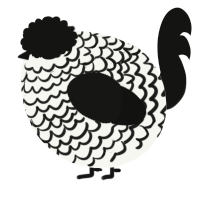 A white and black chicken with a lace pattern