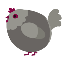 A grey and ash chicken with a head pattern
