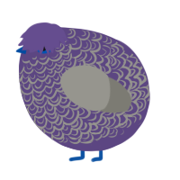 A overcast and ash chicken with a double-lace pattern