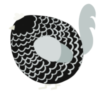 A black and silver chicken with a lace pattern