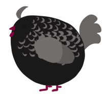 A sable and grey chicken with a half-lace pattern