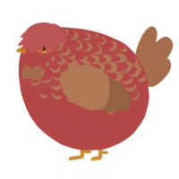 A red and brown chicken with a half-lace pattern