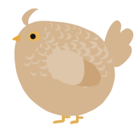 A beige chicken with a half-lace pattern