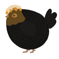A black and sable chicken with a lace pattern